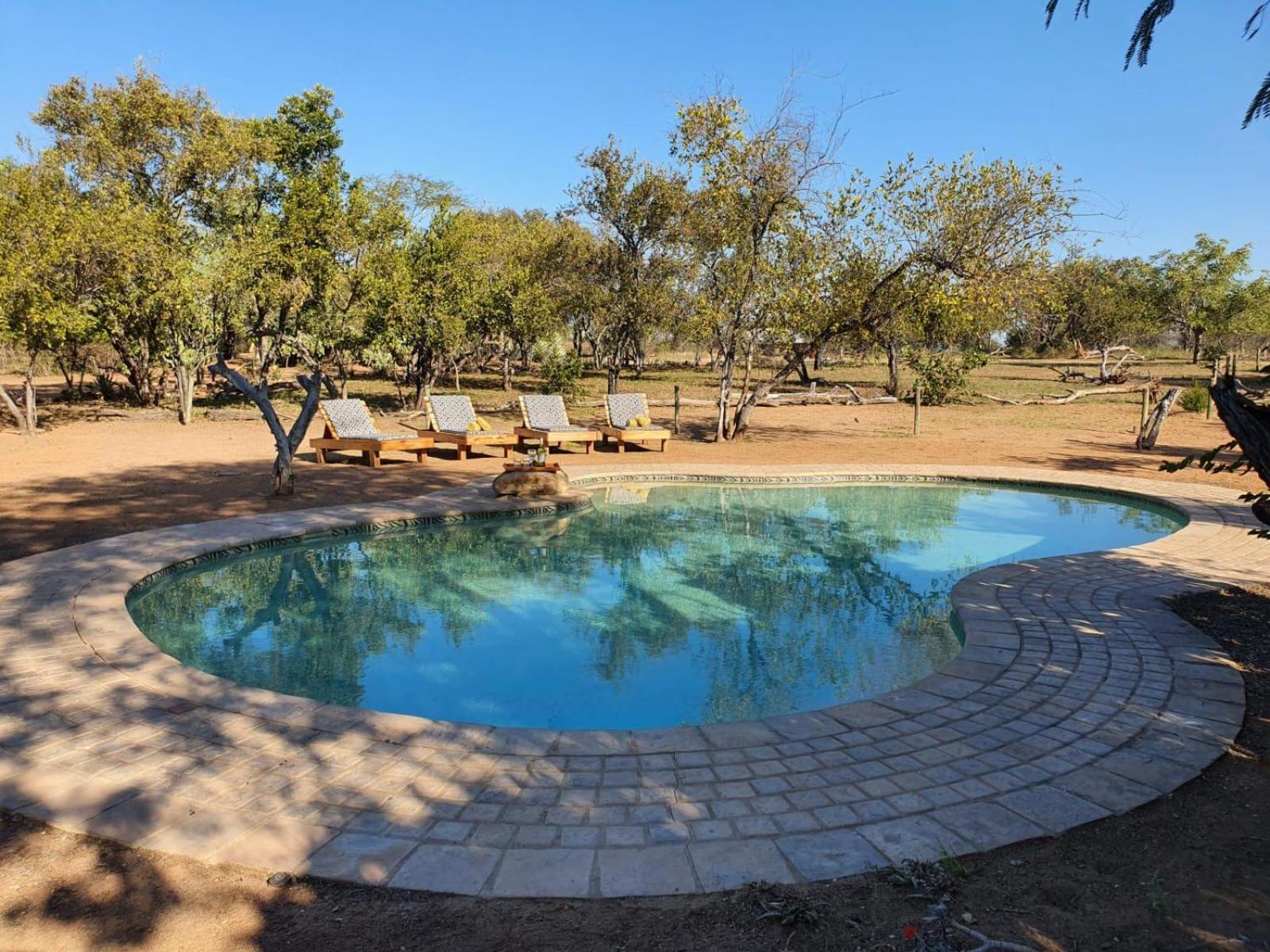 Masorini Bush Lodge 19/50