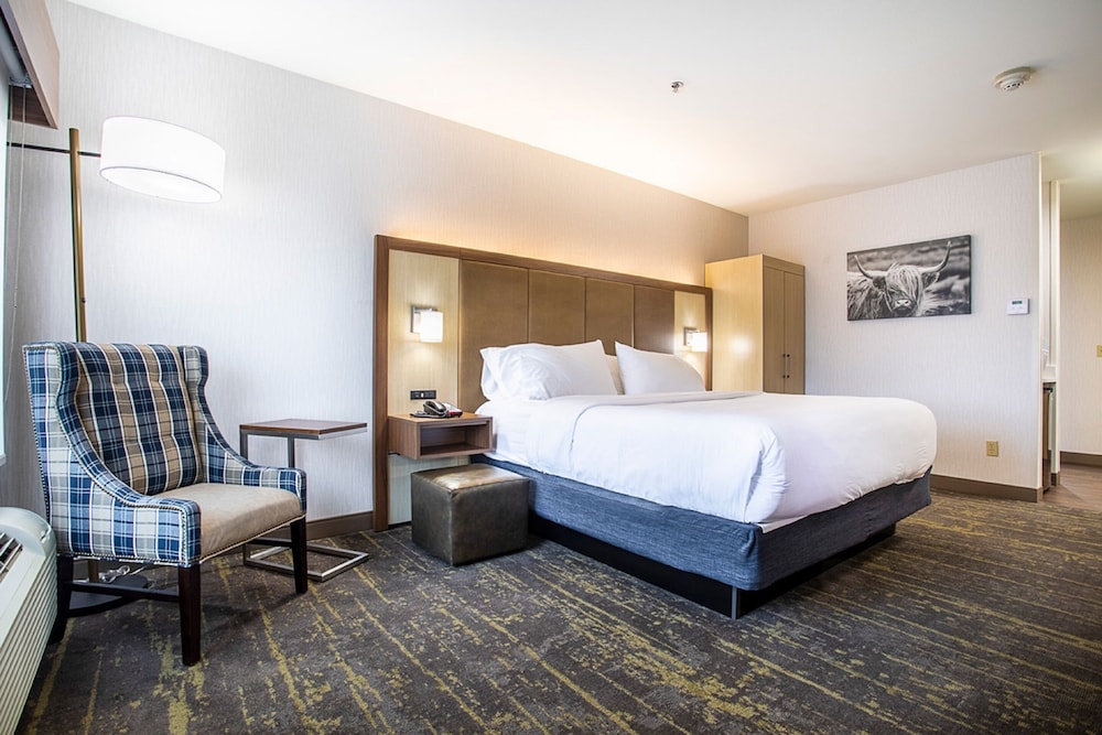 Holiday Inn Express Hotel & Suites Kalispell 26/77