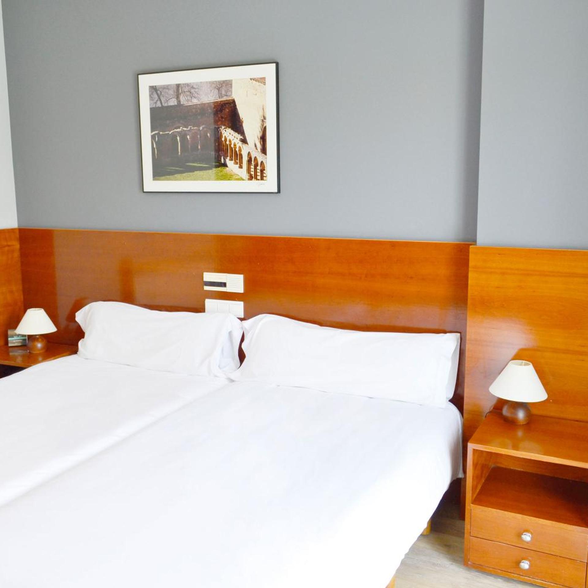 غرفة قياسية بسرير مزدوج أو سريرين منفصلين، Hotel Alda Ciudad de Soria 3/9
