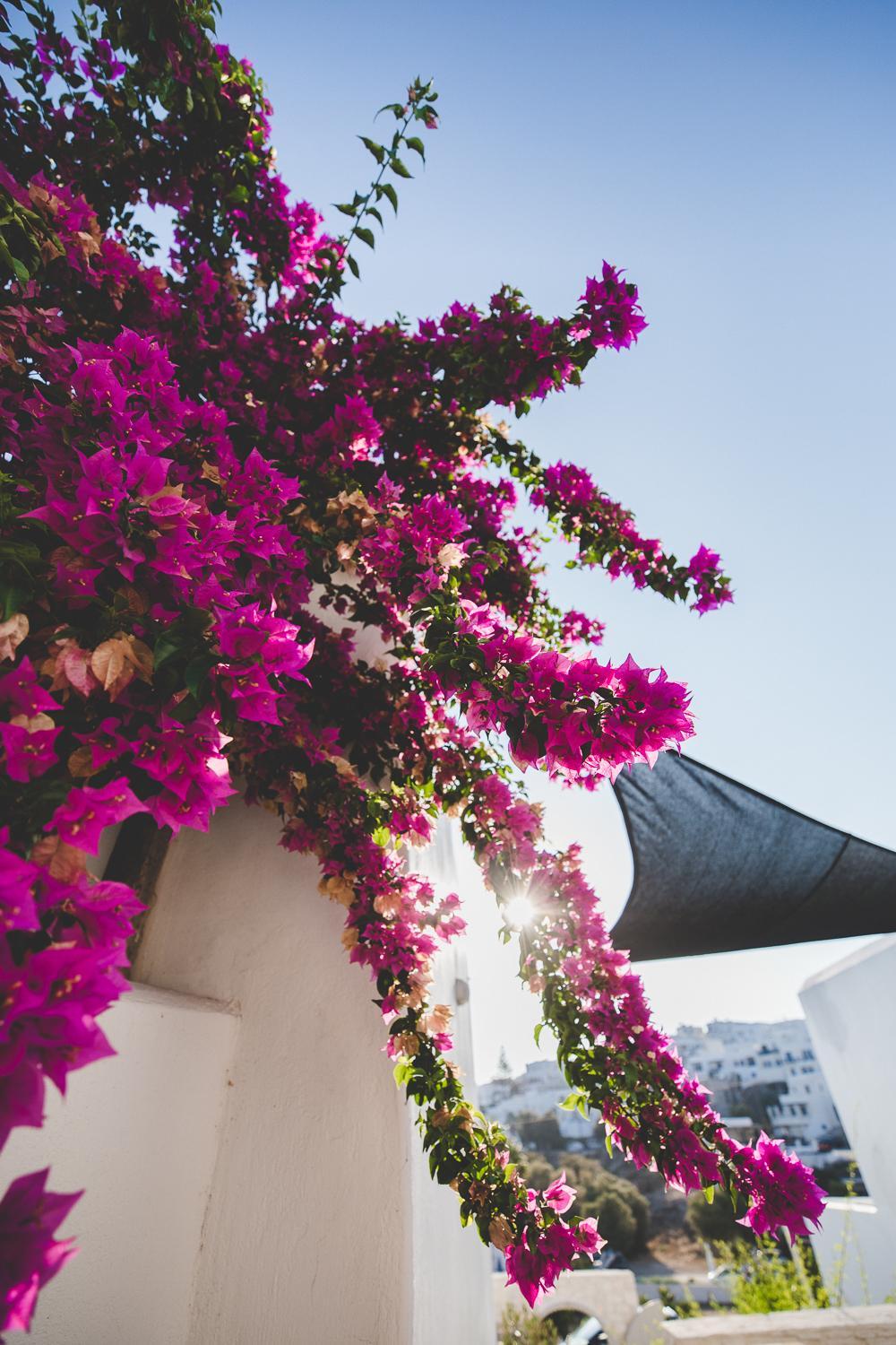 Paliomylos Spa Hotel Paros 56/66