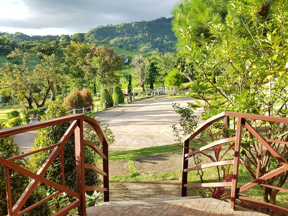 Foresta Hill Resort 35/41