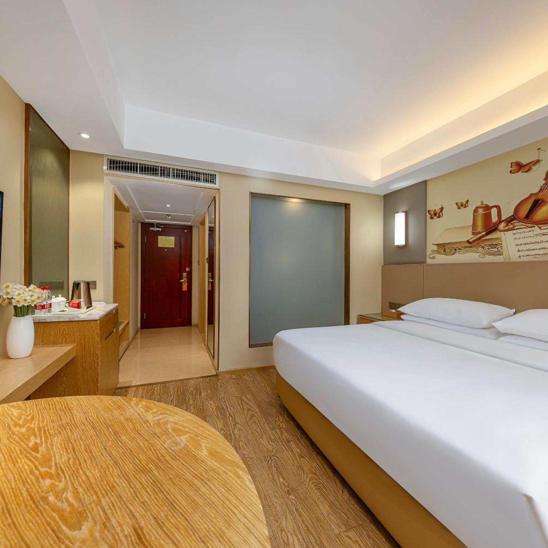 Vienna International Hotel (Xi'an Big Goose Pagoda) 22/51