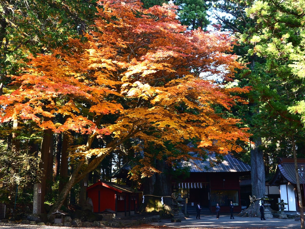 Hostel Fujisan You 40/50