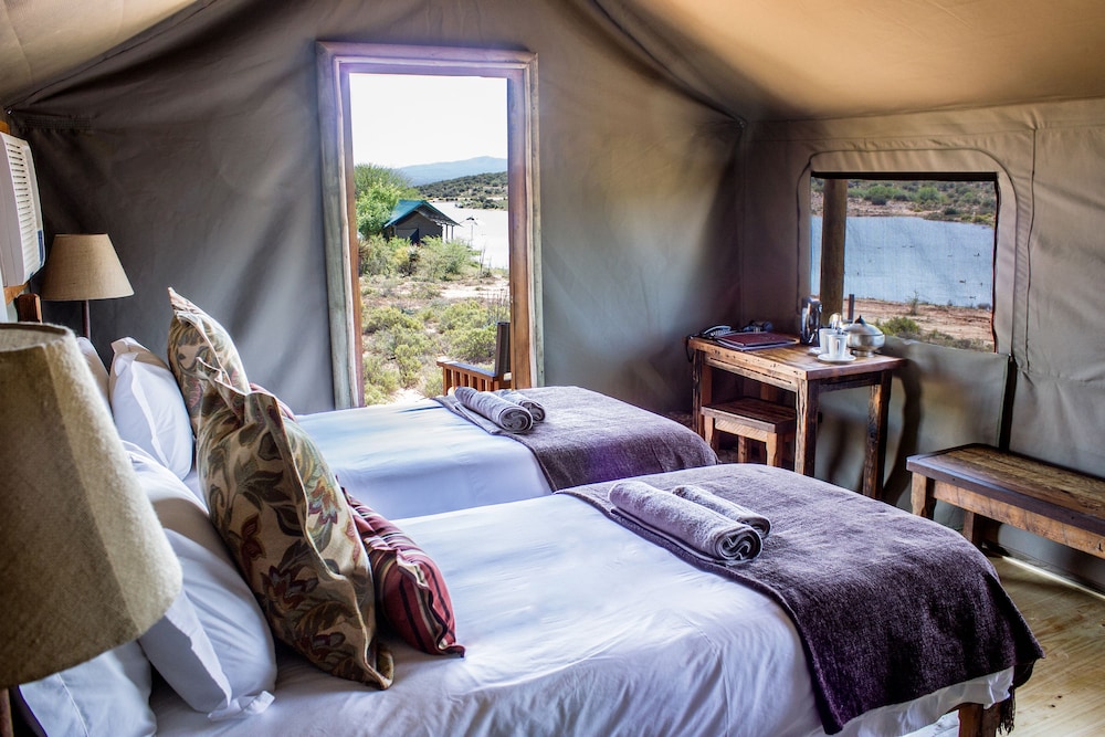 Buffelsdrift Game Lodge 21/73