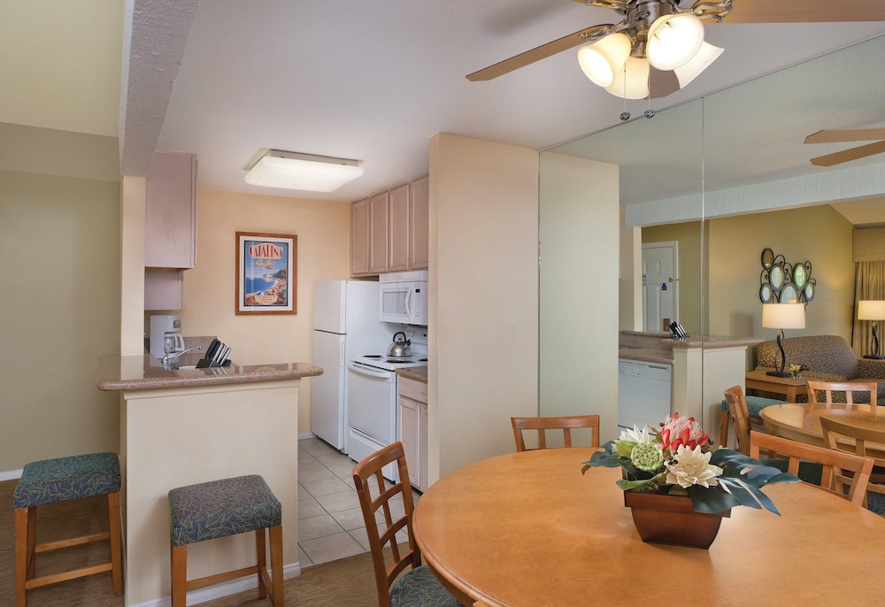 Club Wyndham Dolphin's Cove 26/40