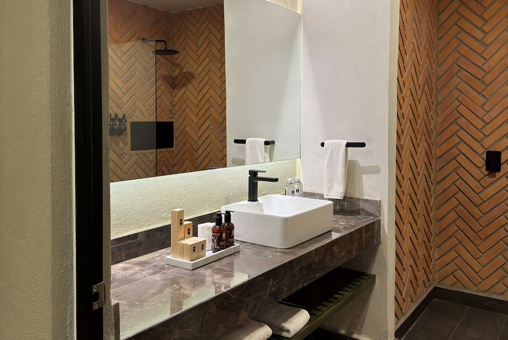 Esplendor by Wyndham San Luis Potosi Monarca 53/54
