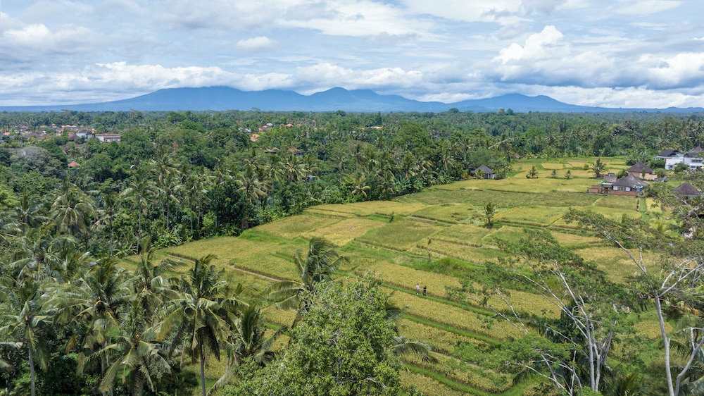 The Lokha Ubud Resort Villas And Spa 31/35