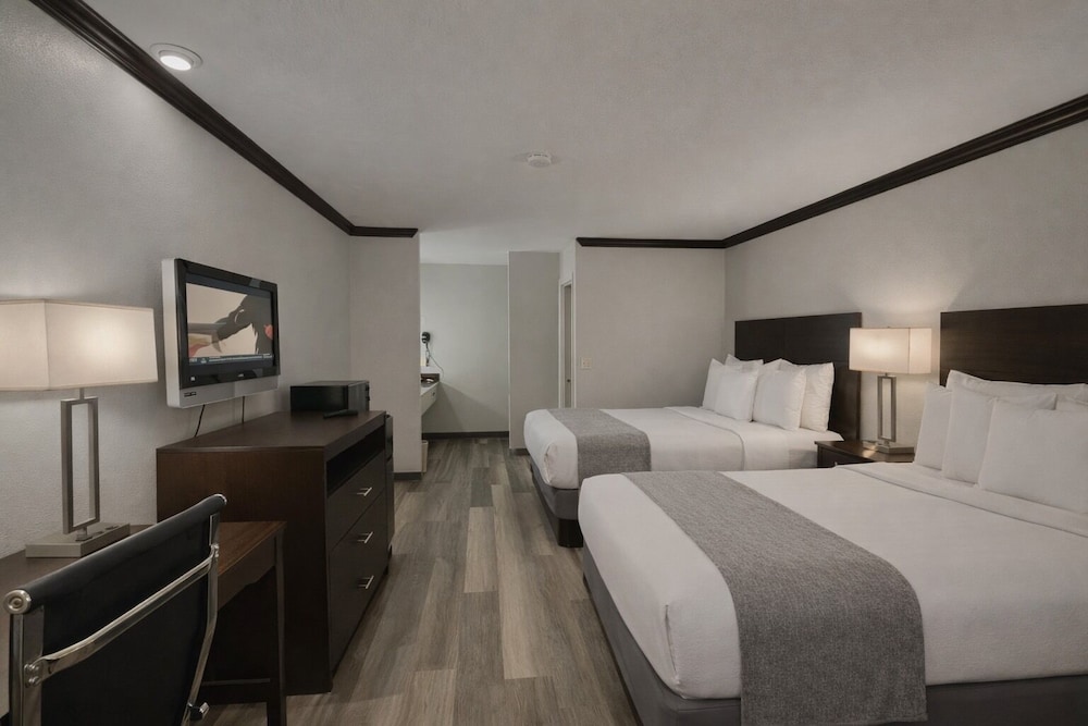 Discovery Inn 20/56