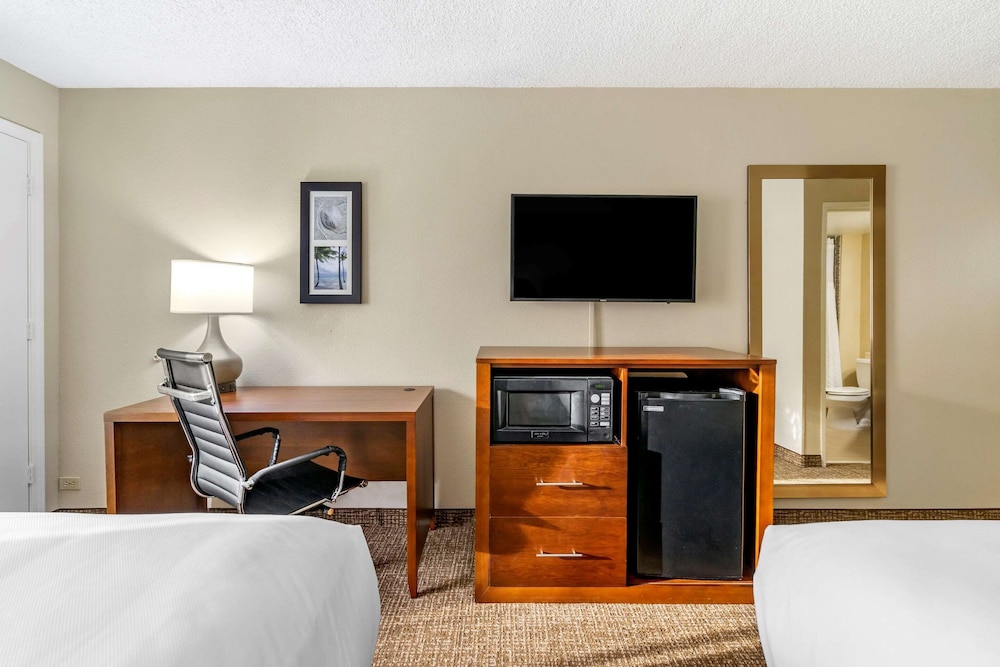 Comfort Inn & Suites St. Pete - Clearwater International Airport 11/41