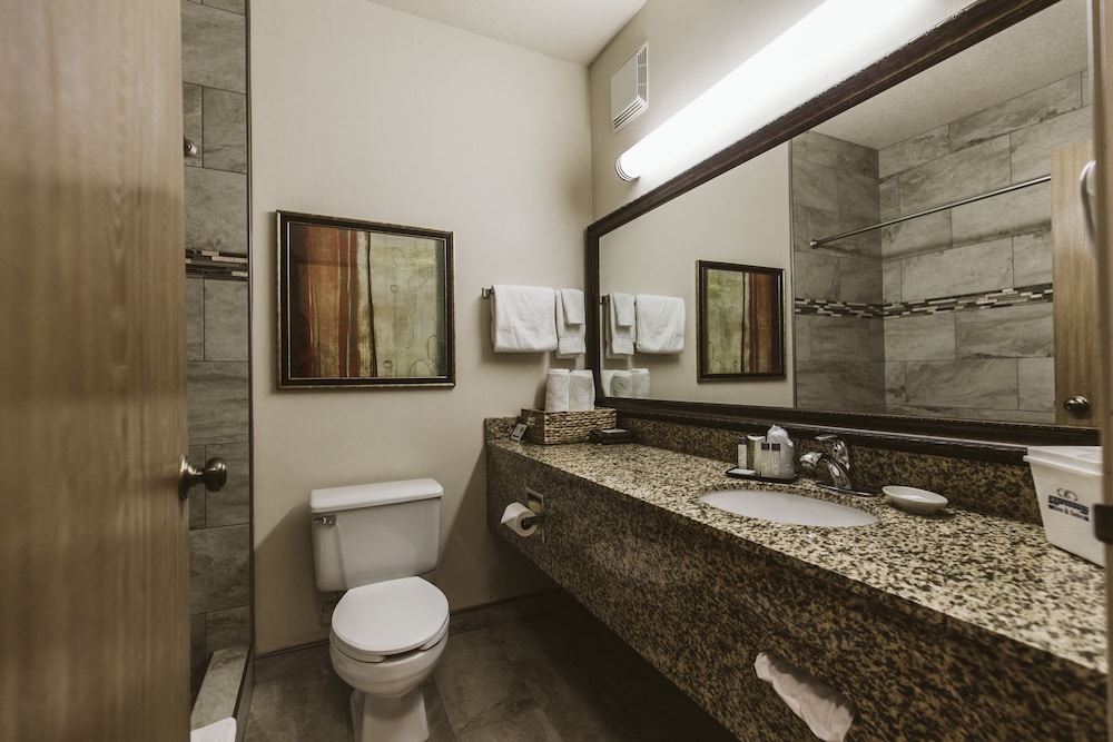 Expressway Suites Bismarck 17/65