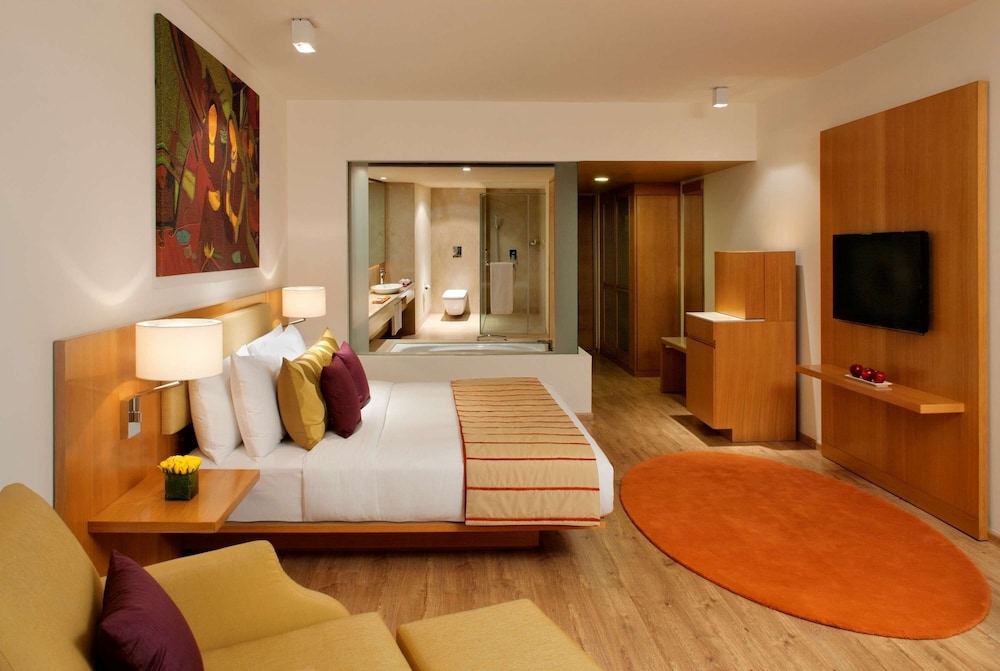 Radisson Blu Plaza Hotel Hyderabad Banjara Hills 35/73