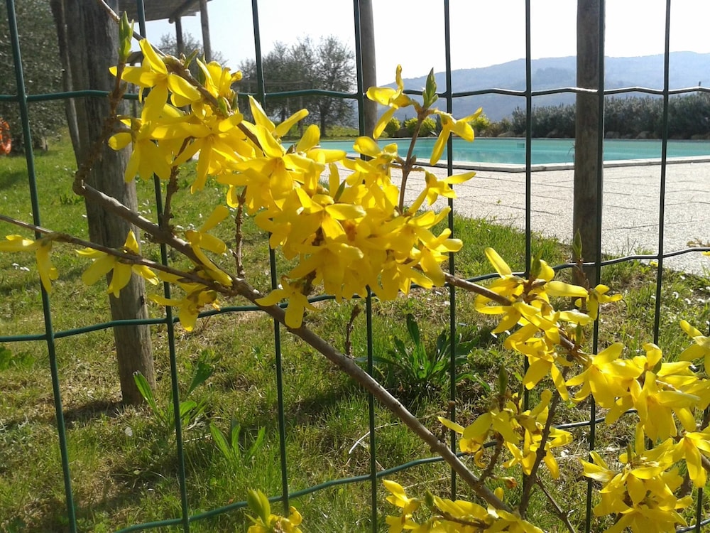 Fattoria Di Poggiopiano 37/50
