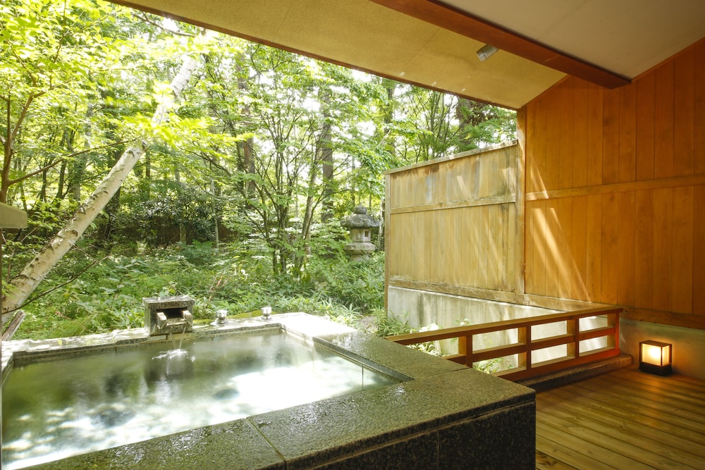 Tateshina Park Hotel (ex. Tateshina Ai) 26/69
