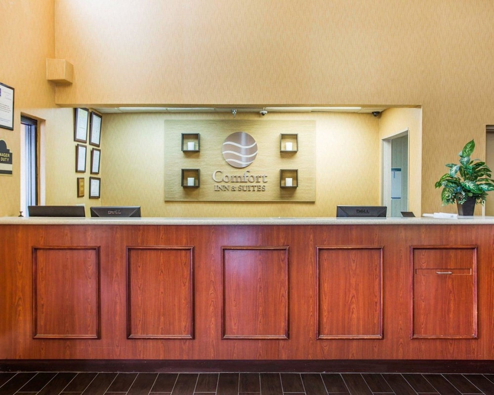 Comfort Inn Suites At Stone Mountain 4/39