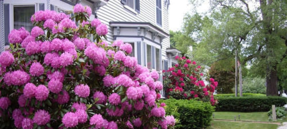Isaiah Jones Homestead Bed & Breakfast 43/50
