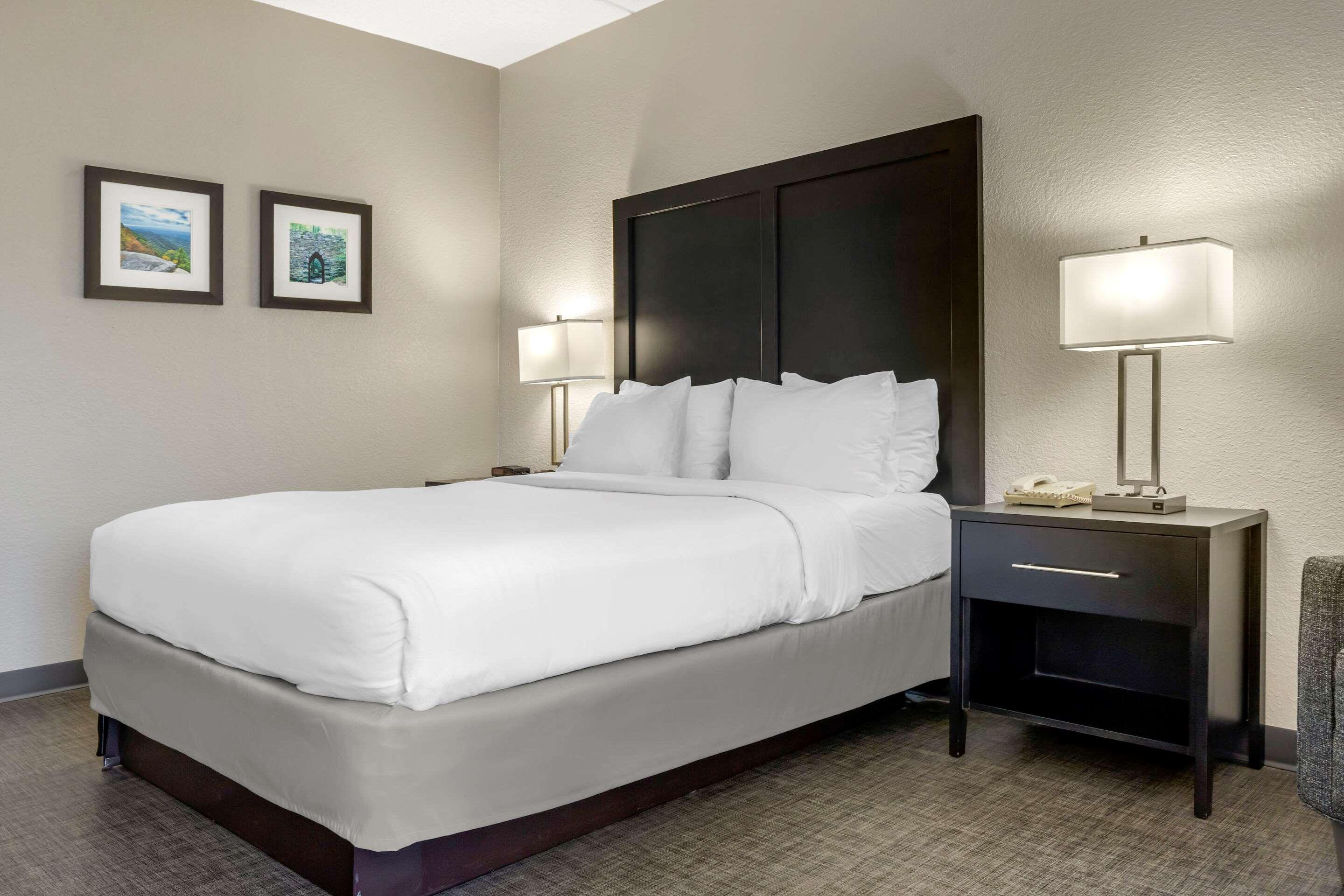 Room, Queen Bed