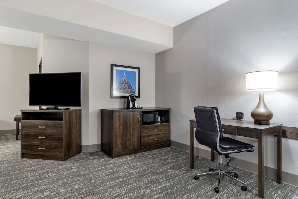 Comfort Suites McDonough Atlanta South 17/24