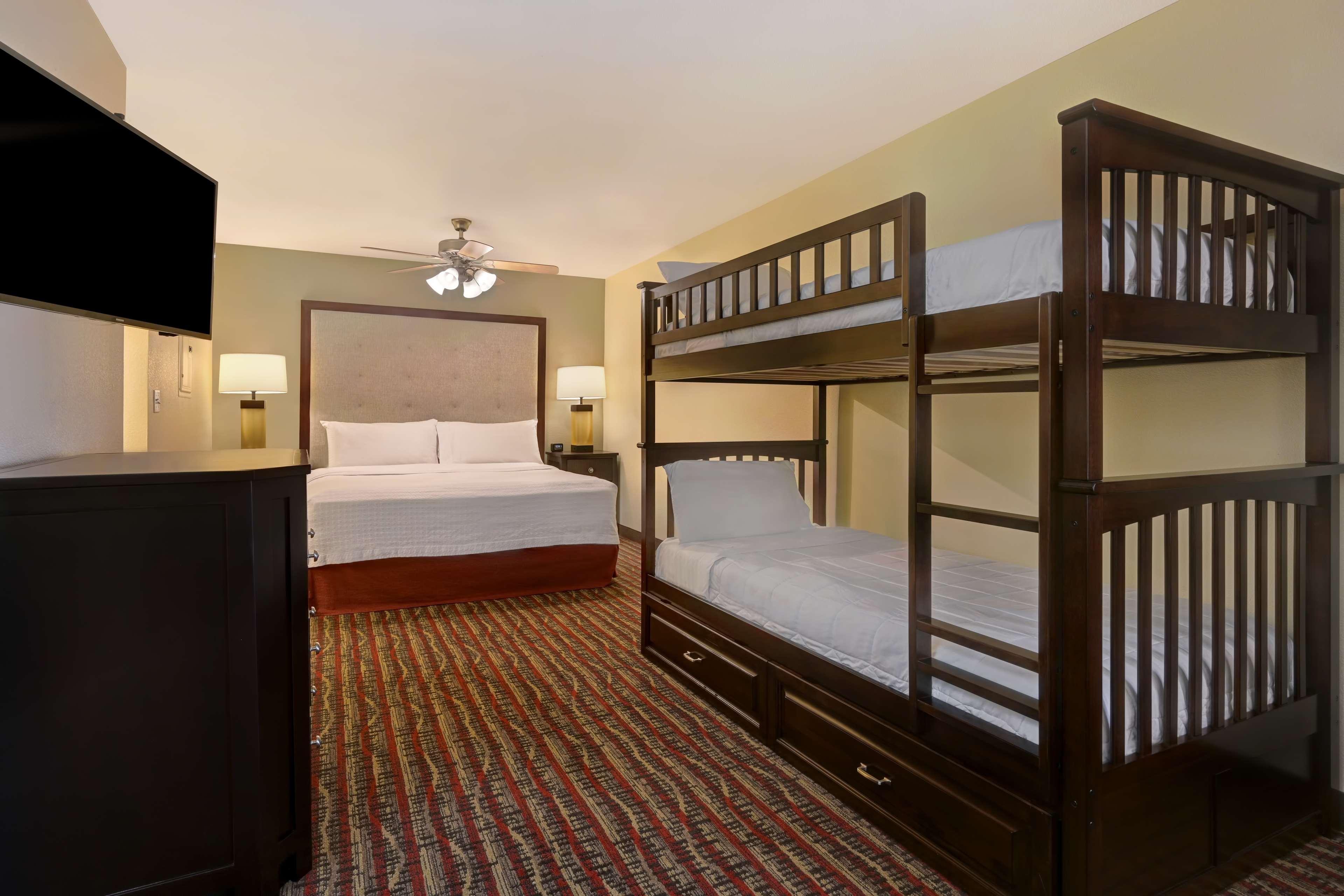 Studio, Suite, King Bed, Bunk Bed, Sofa
