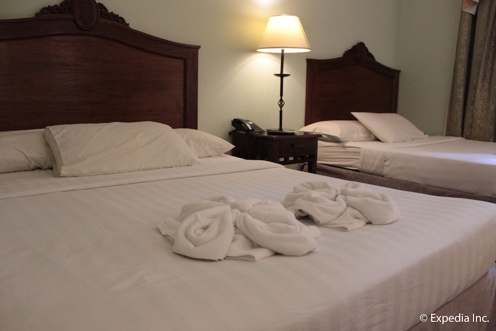 Hotel Salcedo De Vigan 11/18