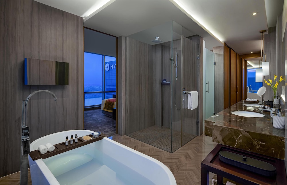 Hyatt Regency Ahmedabad 44/80