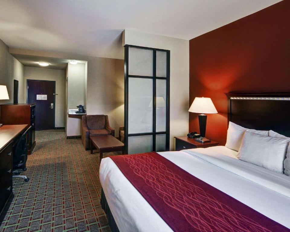 SUITE, KING BED, ACCESSIBLE