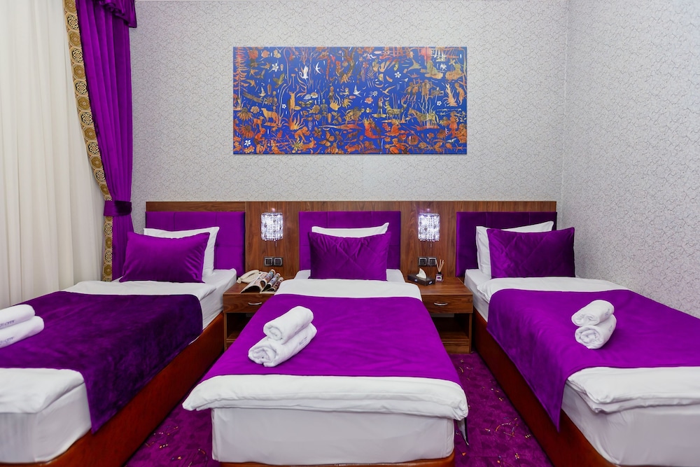 Baku City Hotel 27/50