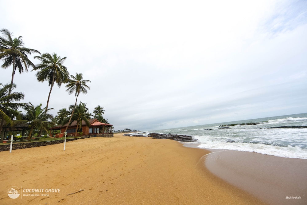 COCONUT GROVE BEACH RESORT 53/66