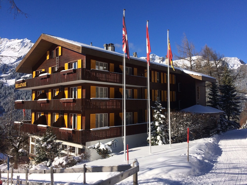 Hotel Bellevue Wengen 2/50