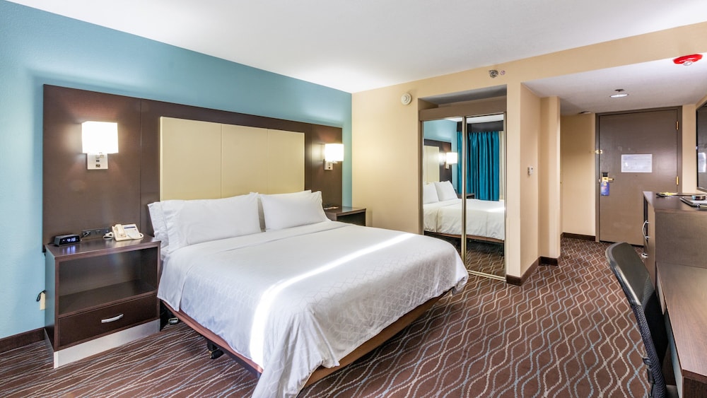 Suite, King Bed