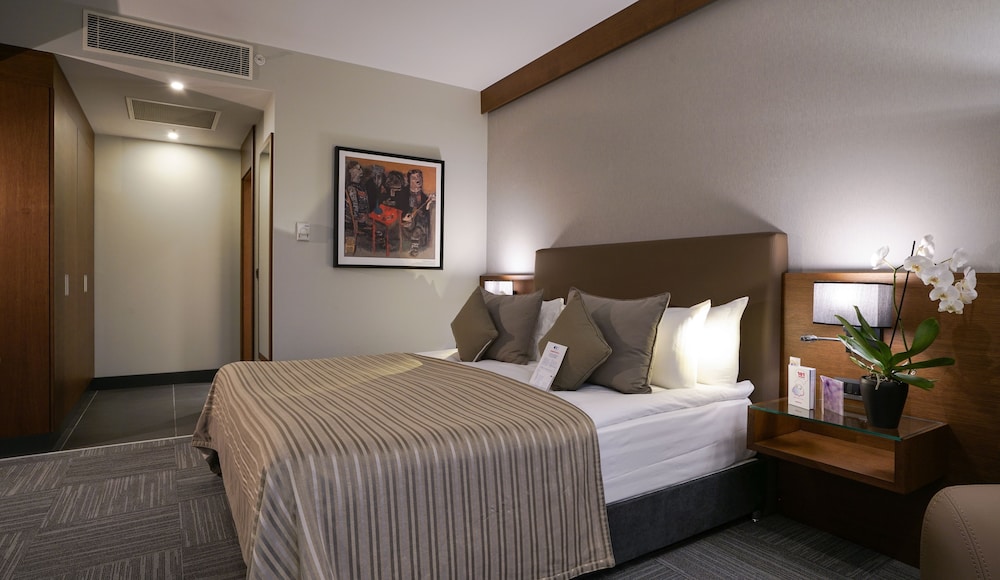 Radisson Blu Hotel Ankara Cankaya 21/56