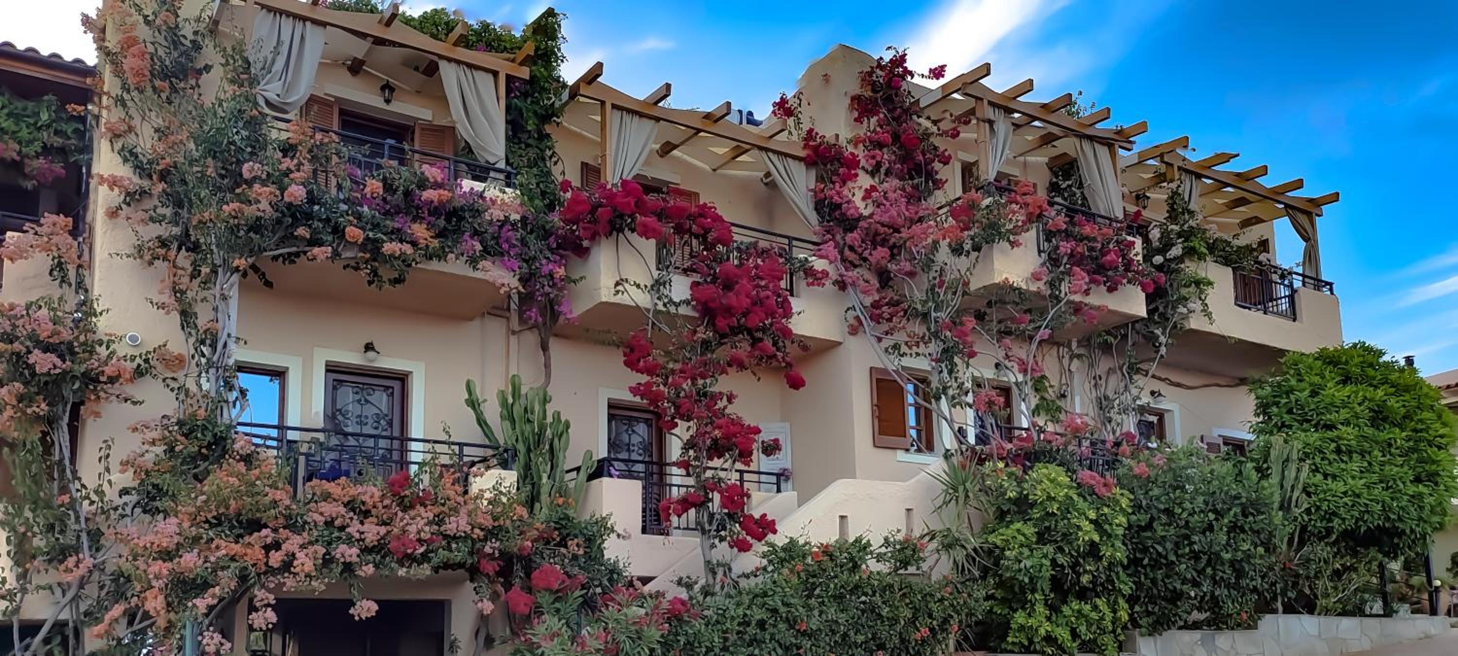 NIKI APARTMENTS in CRETE