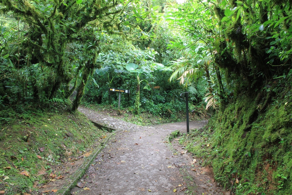 Monteverde Lodge and Gardens 42/50