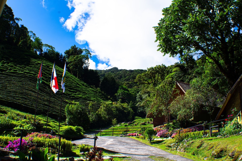 Tree Trek Boquete Adventure Park 42/50