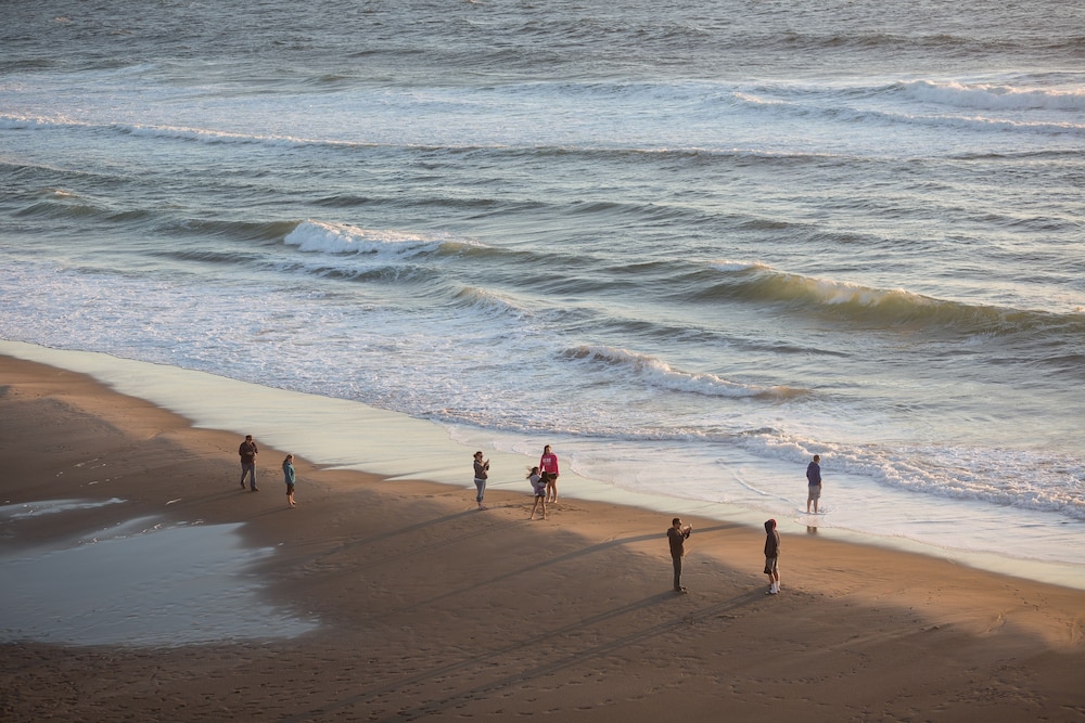 Surftides Lincoln City 56/61