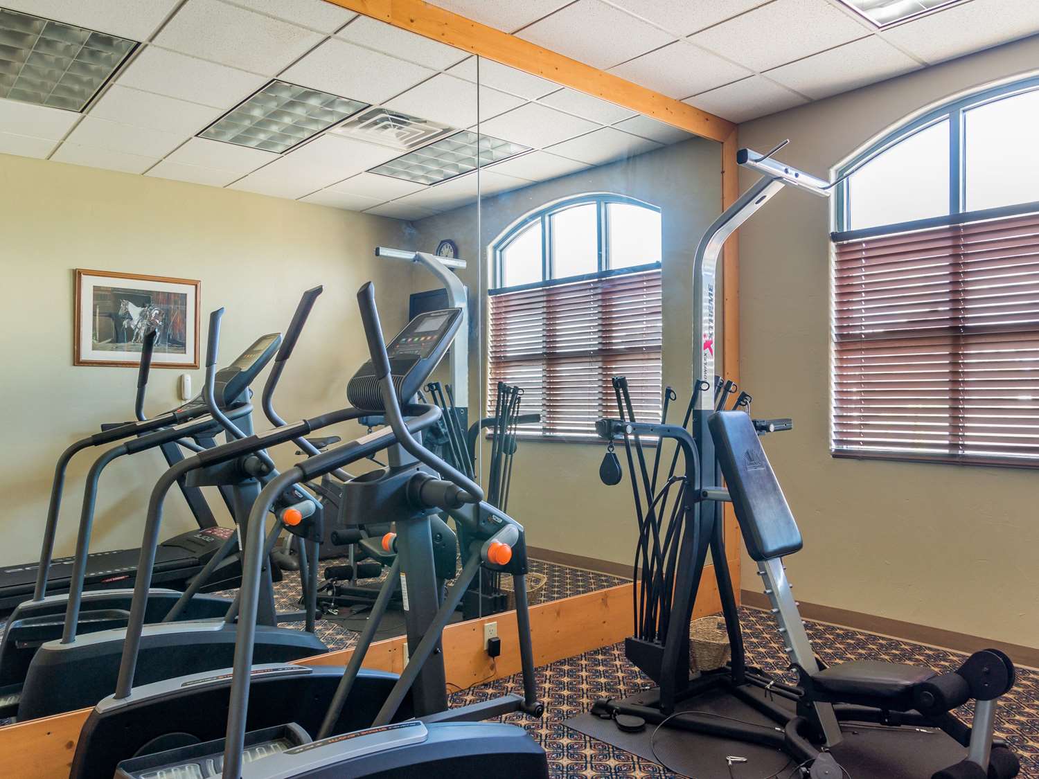 Best Western Alamosa Inn 8/10