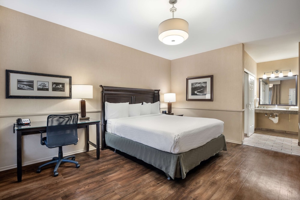 Standard, King Bed, Accessible