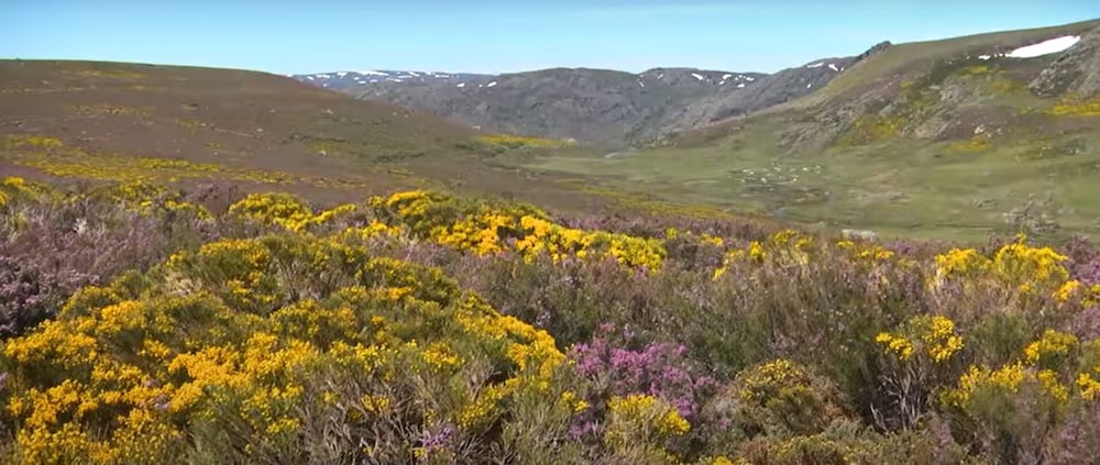 La Posada De Pedrazales 26/27