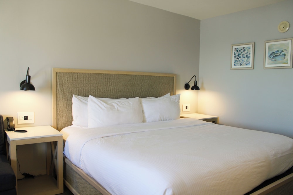 Room, King Bed, Balcony