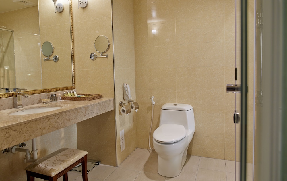 Royal Chiayi Hotel 66/66