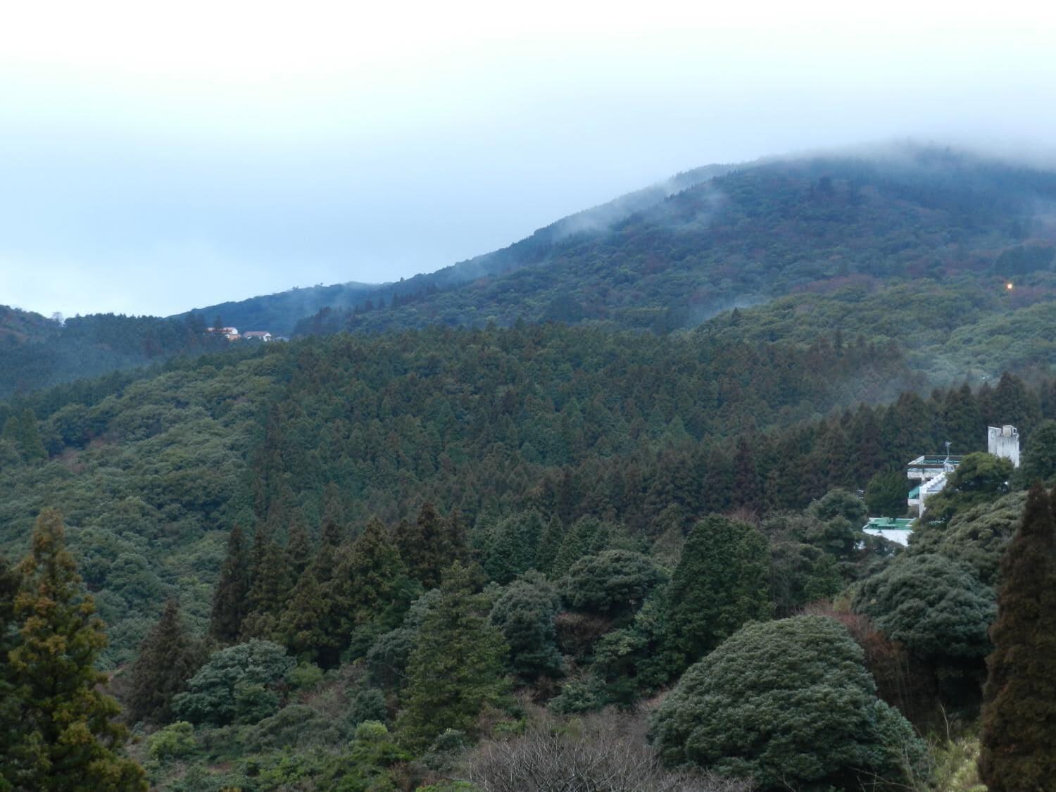 Hotel Seiunso 39/50