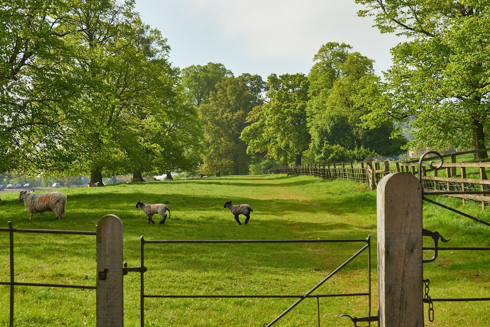 Dumbleton Hall Hotel 43/73