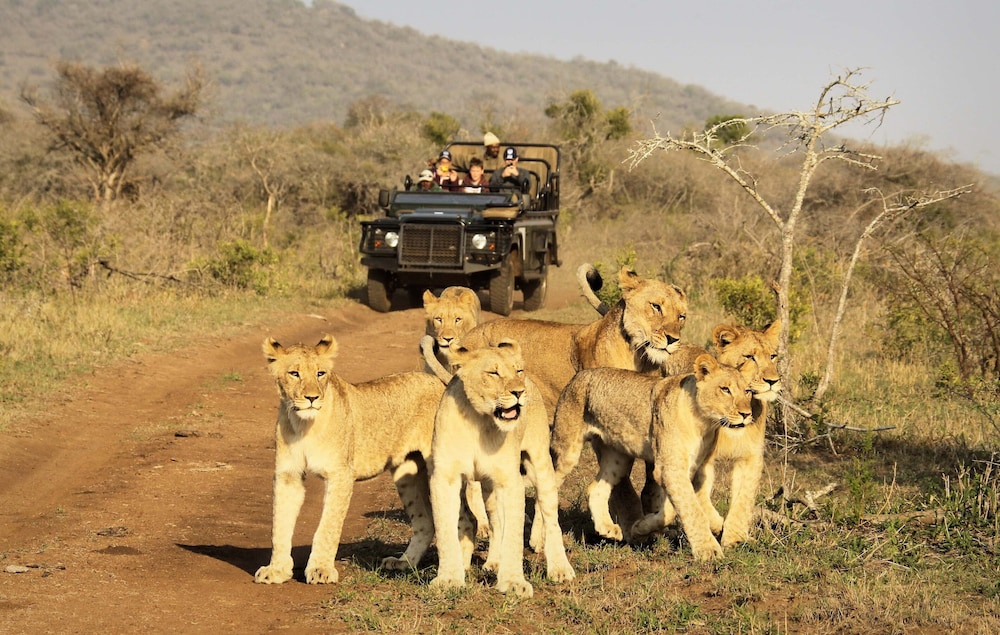 Jumeirah Thanda Safari 50/50
