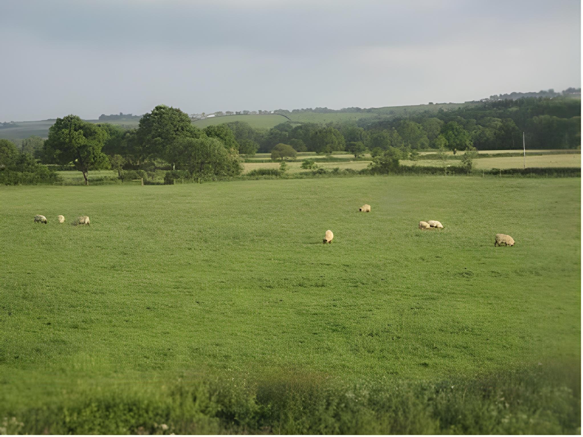 Poole Farm 14/18