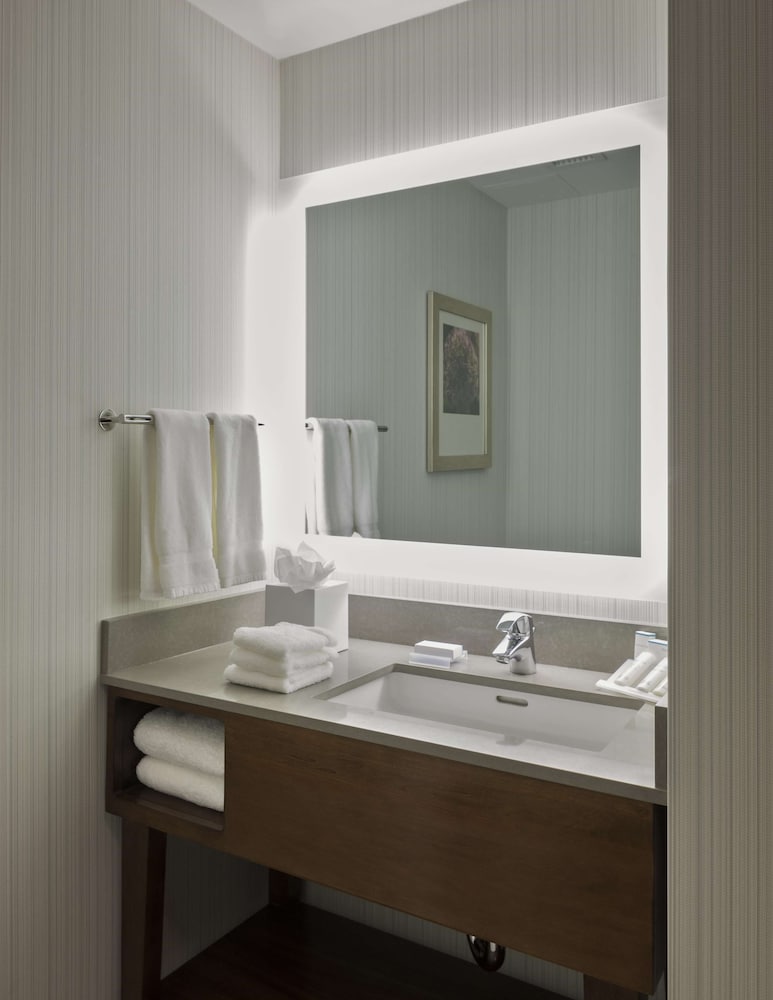 Hilton Garden Inn Long Island City New York 49/62