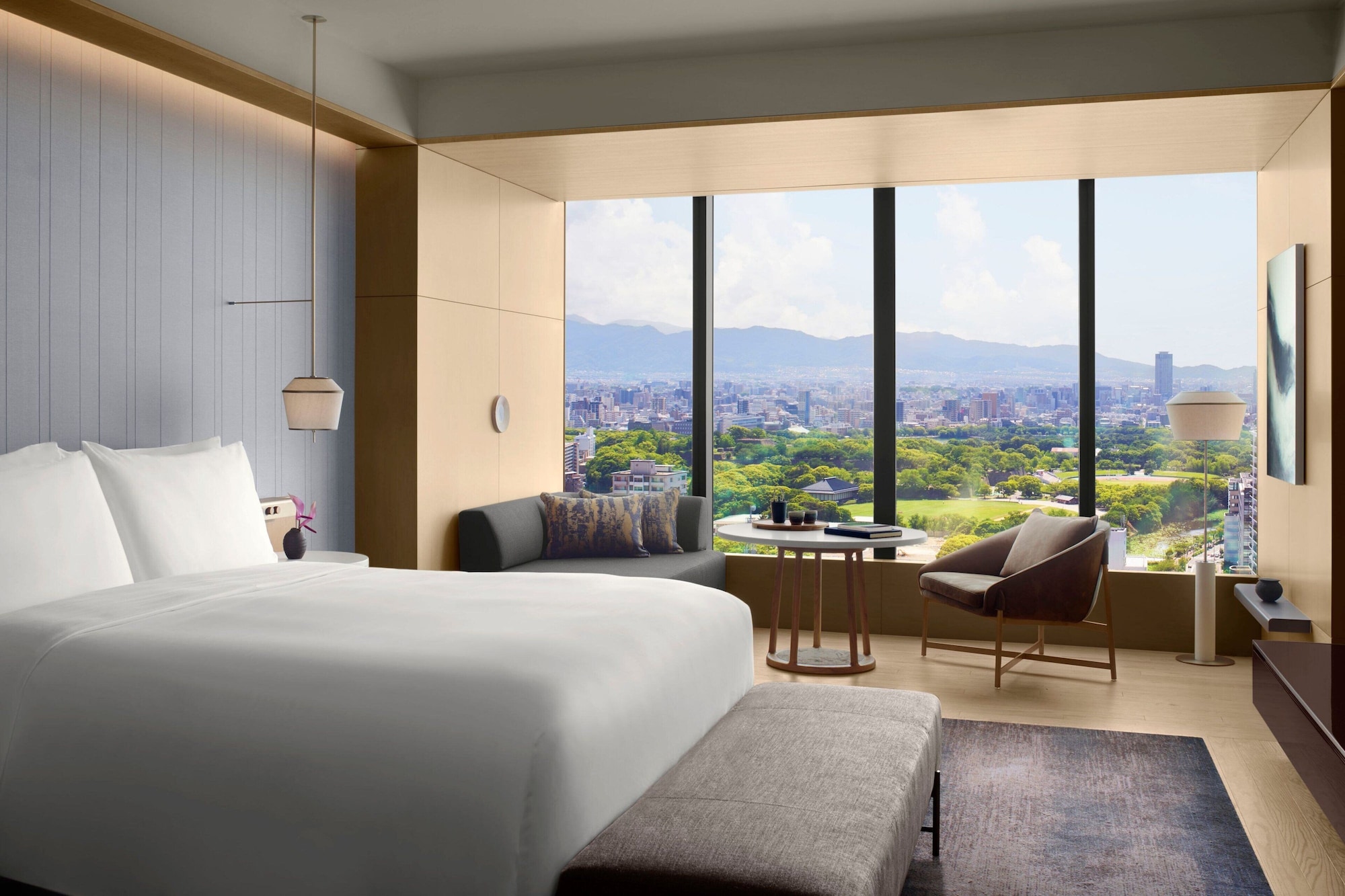 Room, King Bed, Park View