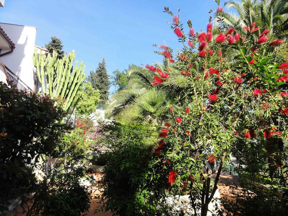 Dei Fiori Residence 44/50