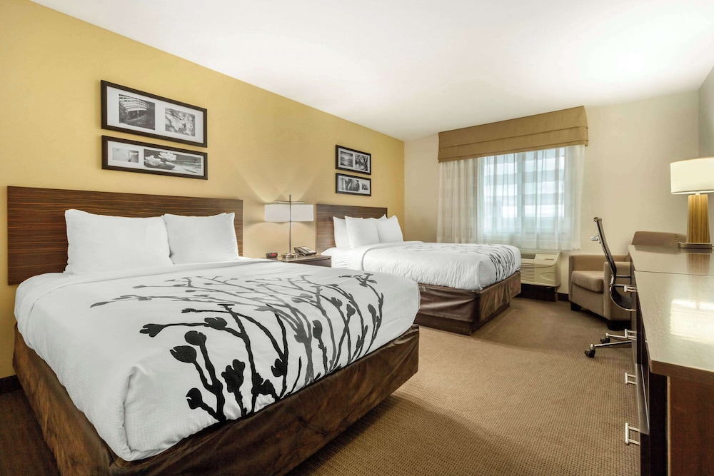 Standard, 2 Queen Beds