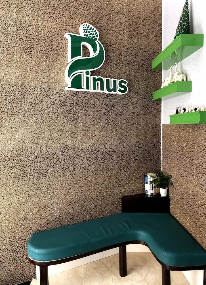 Pinus Hotel 37/51