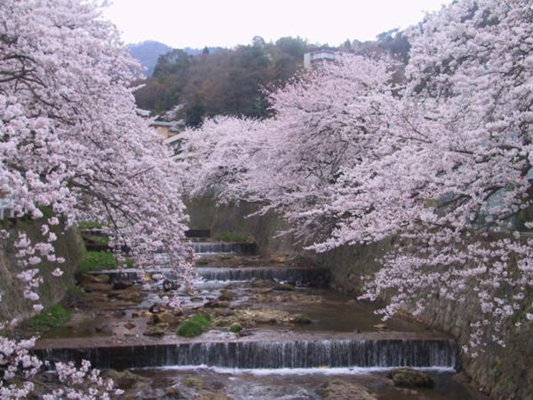 Kado No Bou 58/59