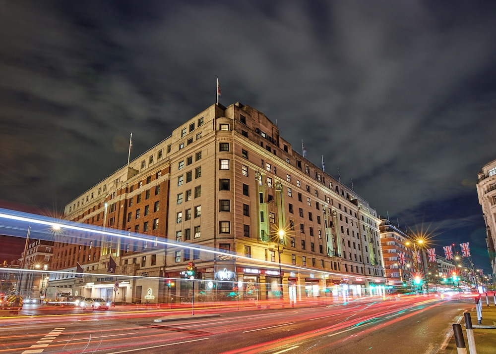 The Cumberland, London photo5